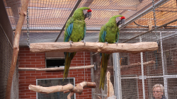 img_gm_1635283401569.jpg