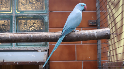 img_gm_1635283757645.jpg