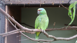 img_gm_1635283787534.jpg