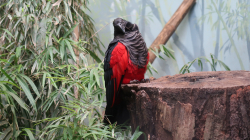 img_gm_1635283881559.jpg