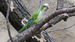 img_gm_1635284274017.jpg