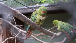 img_gm_1635284478597.jpg