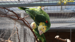 img_gm_1635284585909.jpg