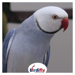 img_gm_1651498178778.png